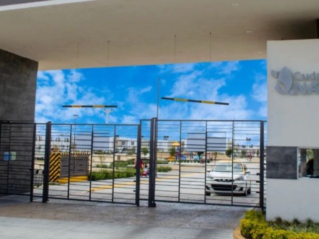 place photo 15
