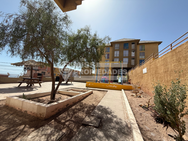 place photo 20
