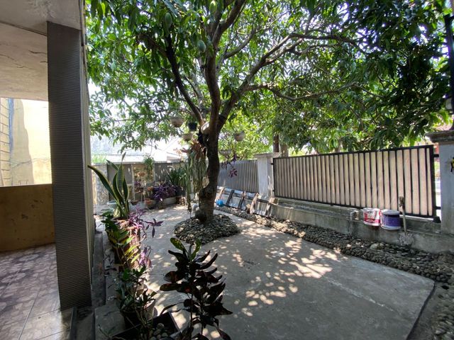 place photo 16