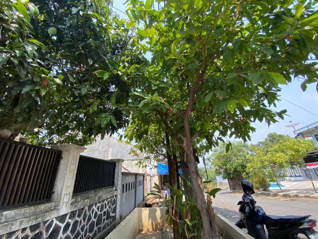place photo 27