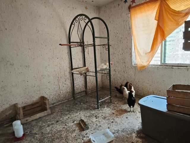 place photo 22