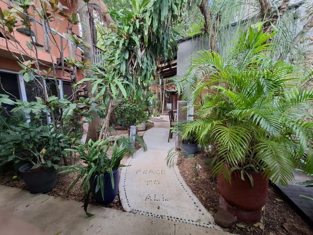 place photo 21