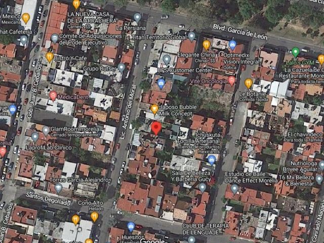 place photo 19