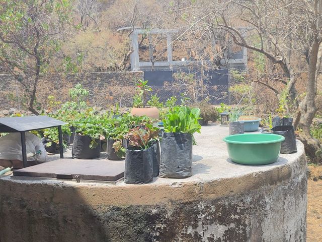 place photo 30