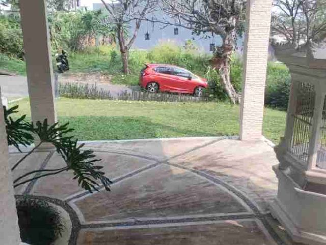 place photo 19