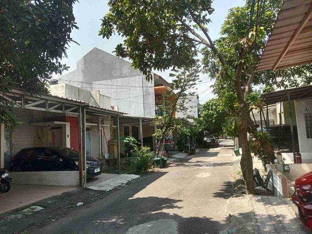 place photo 22