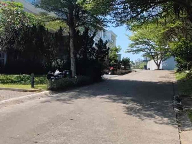 place photo 25