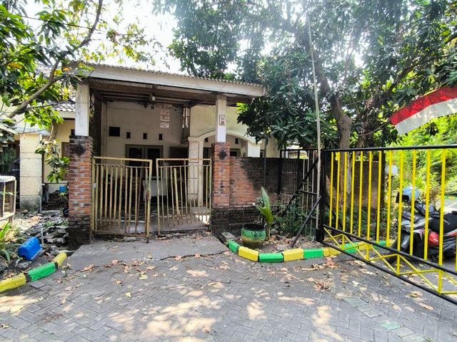 place photo 11