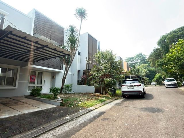 place photo 39