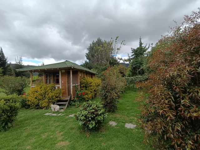 place photo 16