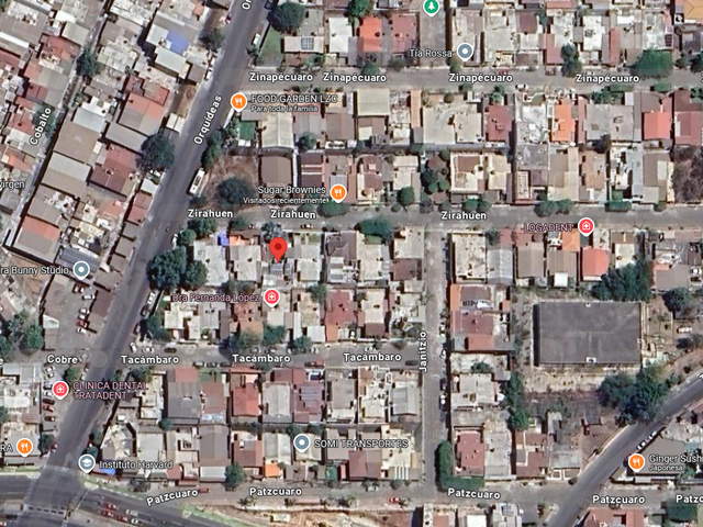 place photo 6