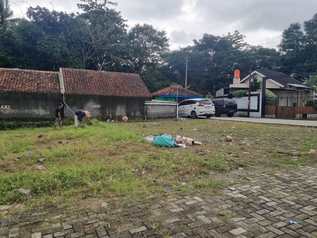 place photo 7