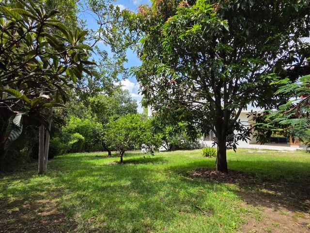 place photo 30