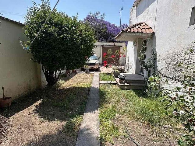 place photo 16