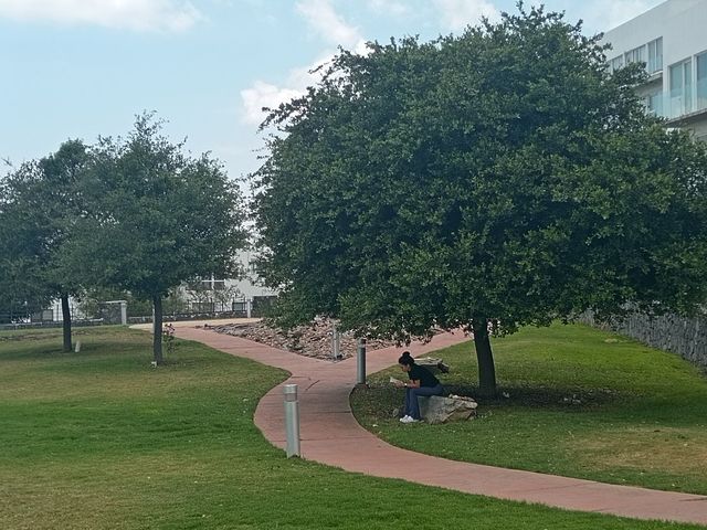 place photo 20