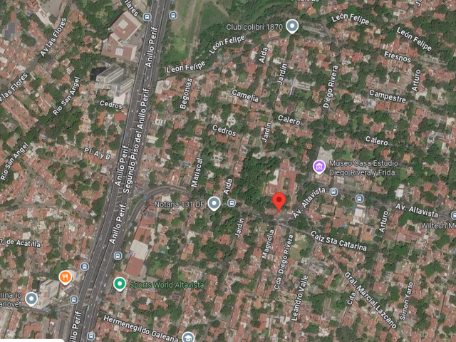 place photo 7