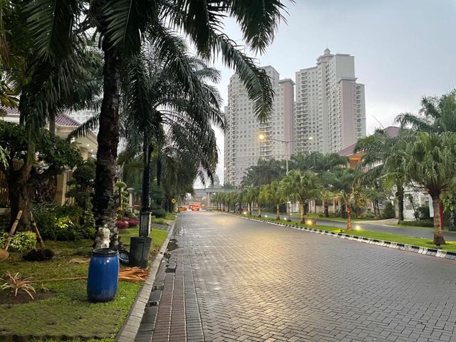 place photo 16