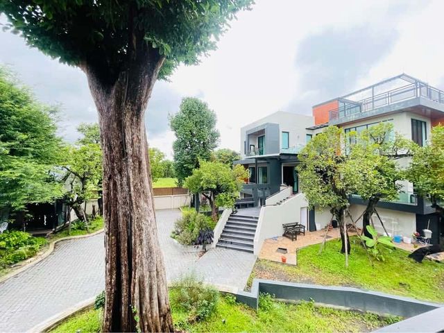 place photo 46