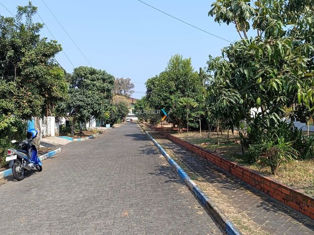 place photo 15