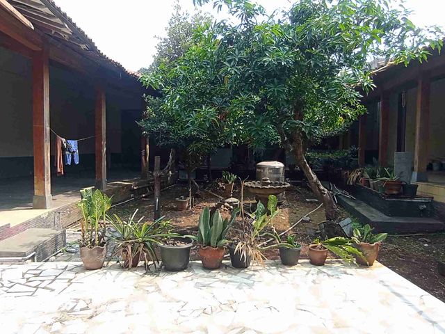 place photo 11