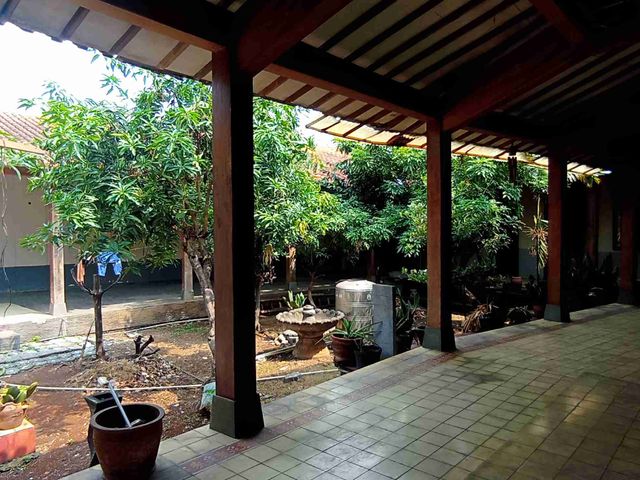 place photo 13