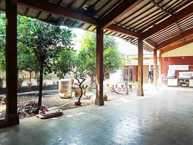 place photo 15