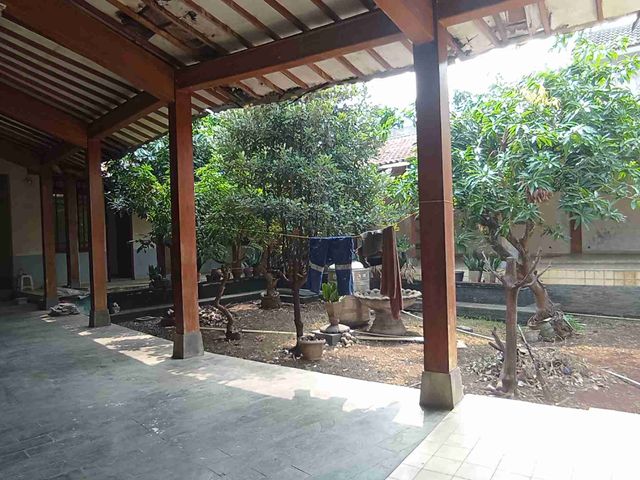 place photo 16