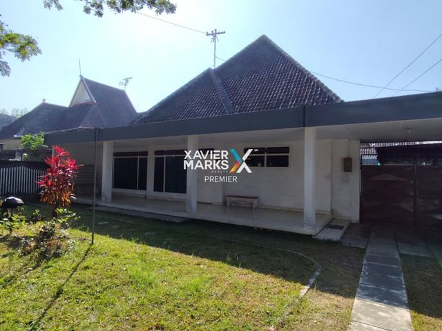 place photo 10