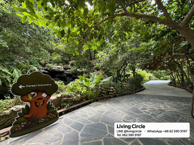 place photo 35