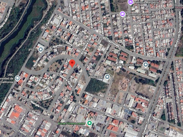 place photo 16