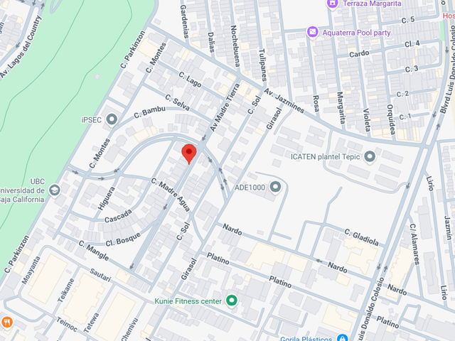 place photo 15