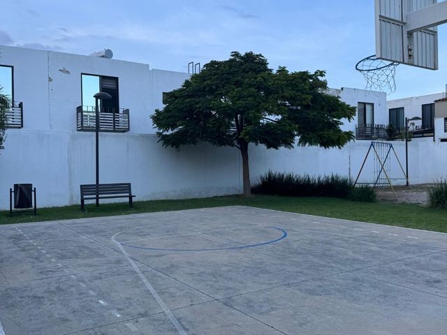 place photo 26