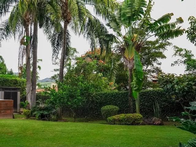 place photo 46