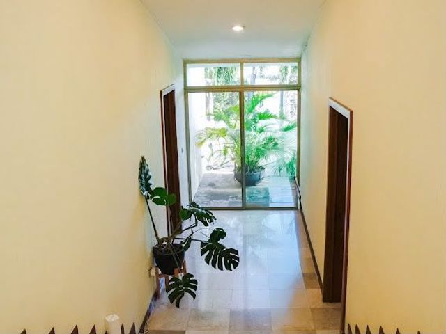 place photo 54