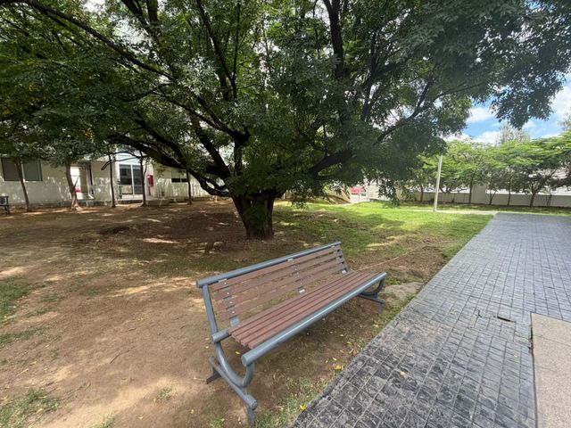 place photo 23
