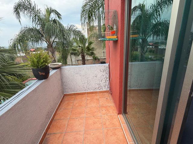 place photo 31