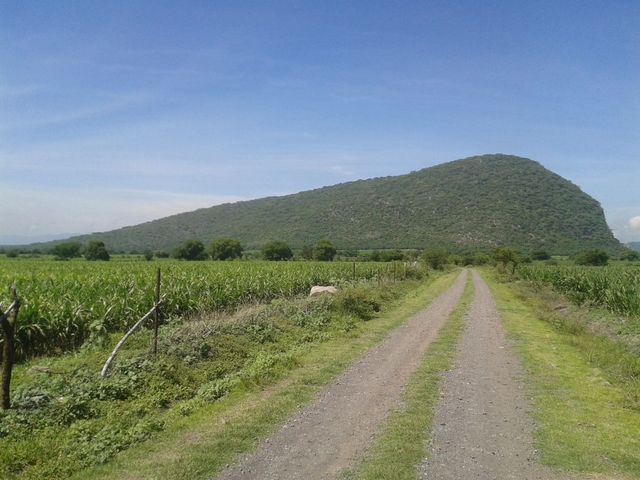place photo 11