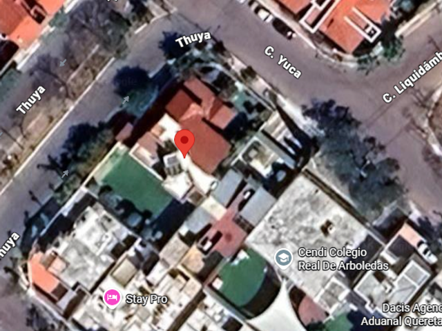 place photo 11