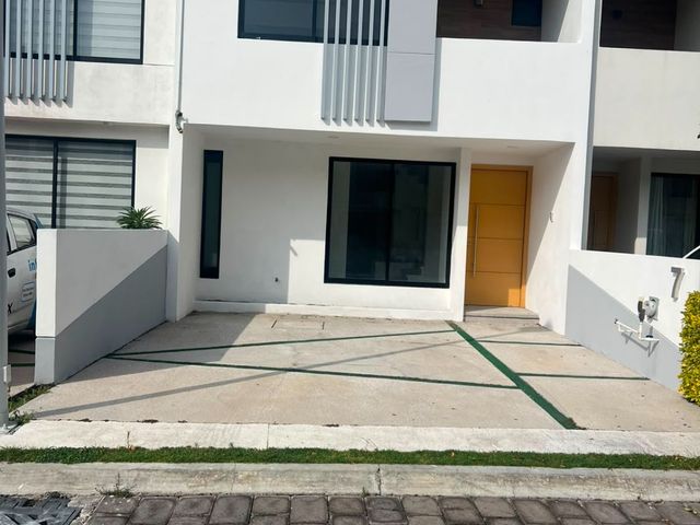 place photo 34