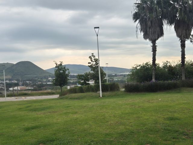 place photo 36
