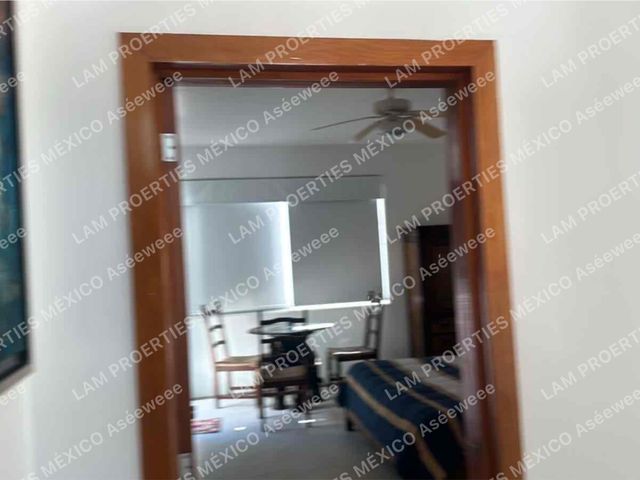 place photo 48