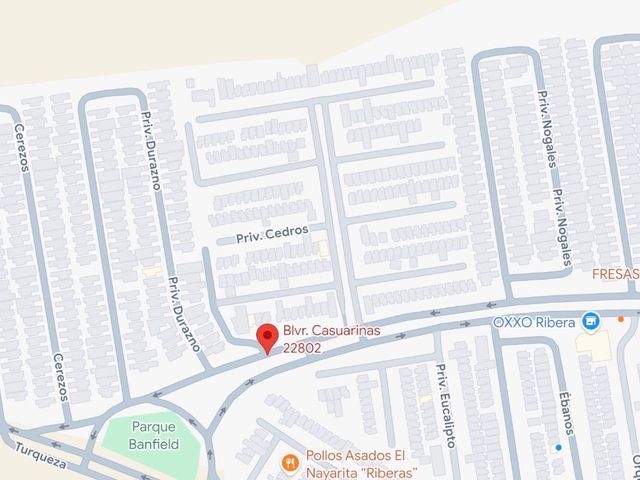 place photo 10