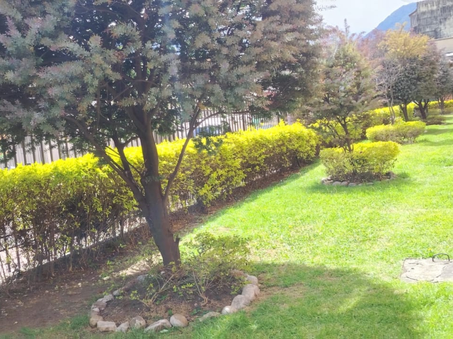 place photo 23