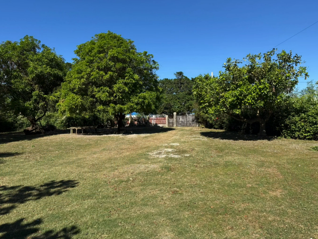 place photo 28