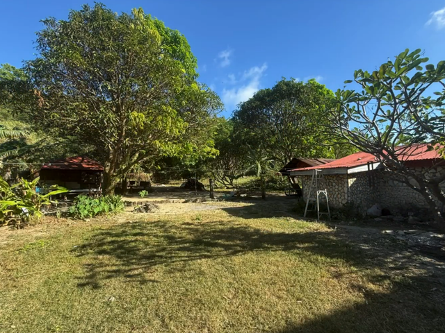place photo 33