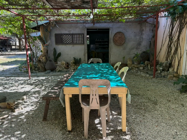 place photo 29