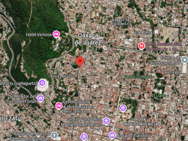 place photo 10