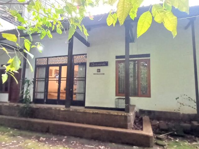 place photo 16
