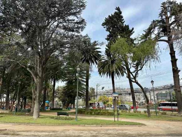 place photo 10