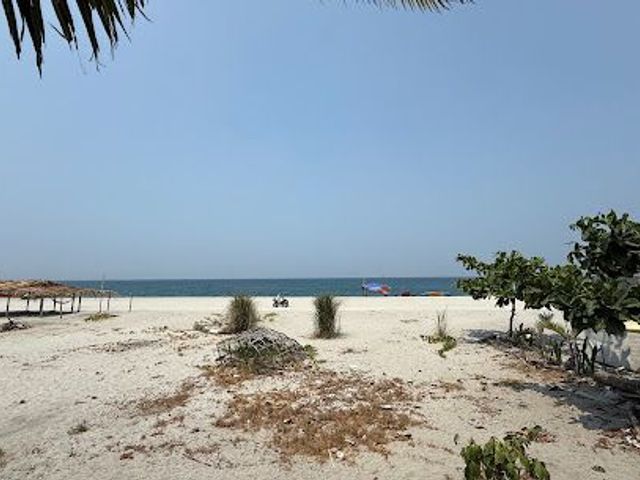place photo 13